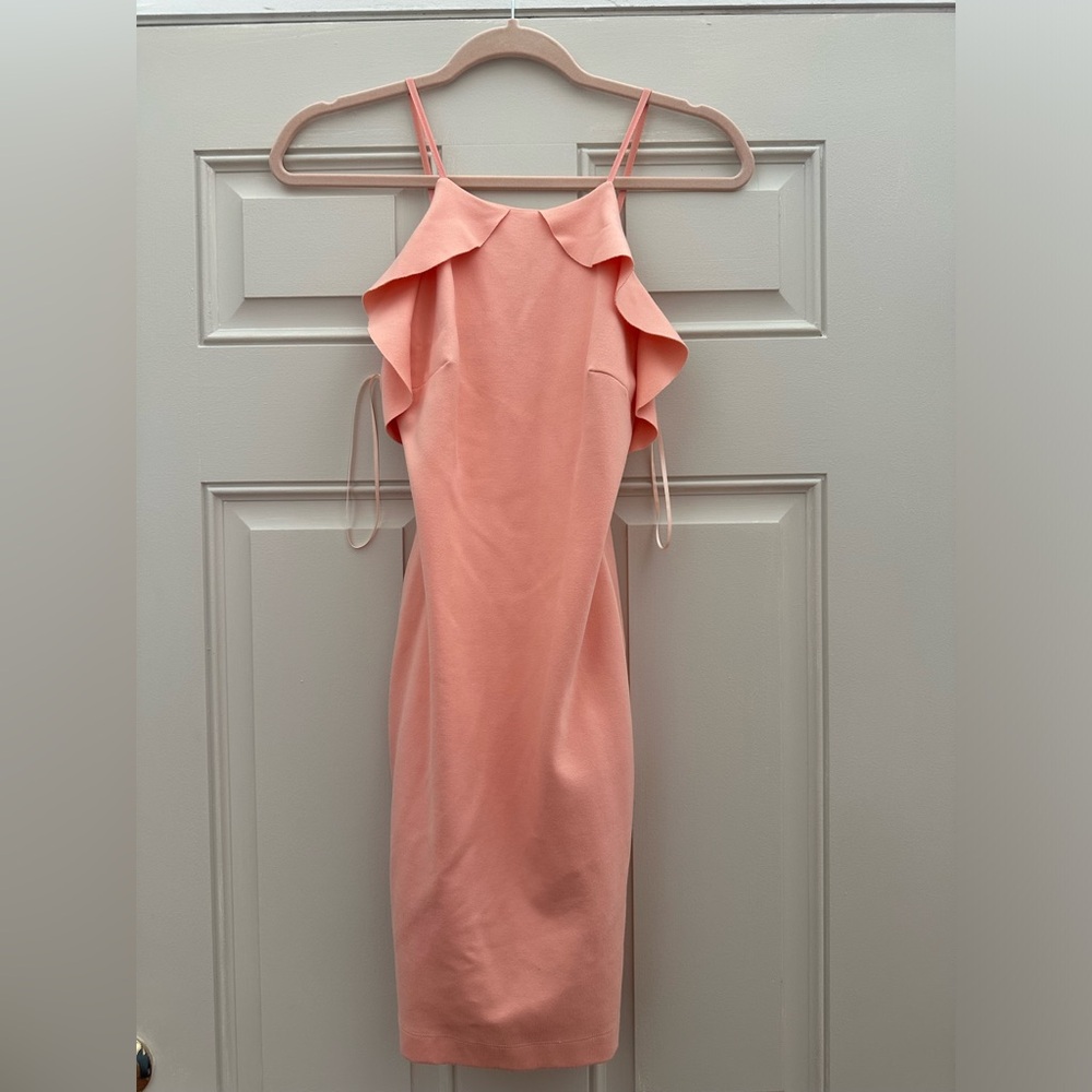 Zara Trafaluc Dress